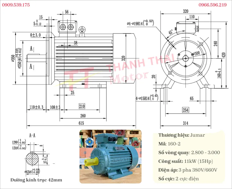 Bản vẽ và thông số kỹ thuật của động cơ điện 3 pha 11kW 15Hp 2 cực