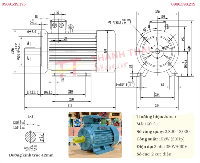 Bản vẽ và thông số kỹ thuật của động cơ điện 3 pha 15kW 20Hp 2 cực