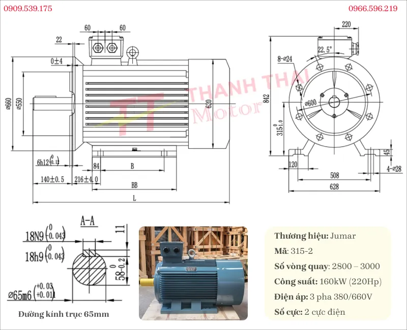 Bản vẽ và thông số kỹ thuật động cơ điện 3 pha 160kw 220hp 2 cực