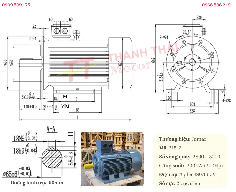 Bản vẽ và thông số kỹ thuật động cơ điện 3 pha 200kw 270hp 2 cực