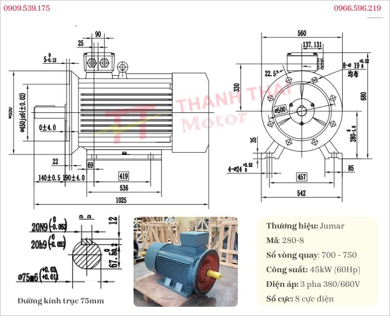 Bản vẽ và thông số kỹ thuật động cơ điện 3 pha 45kW 60Hp 8 cực