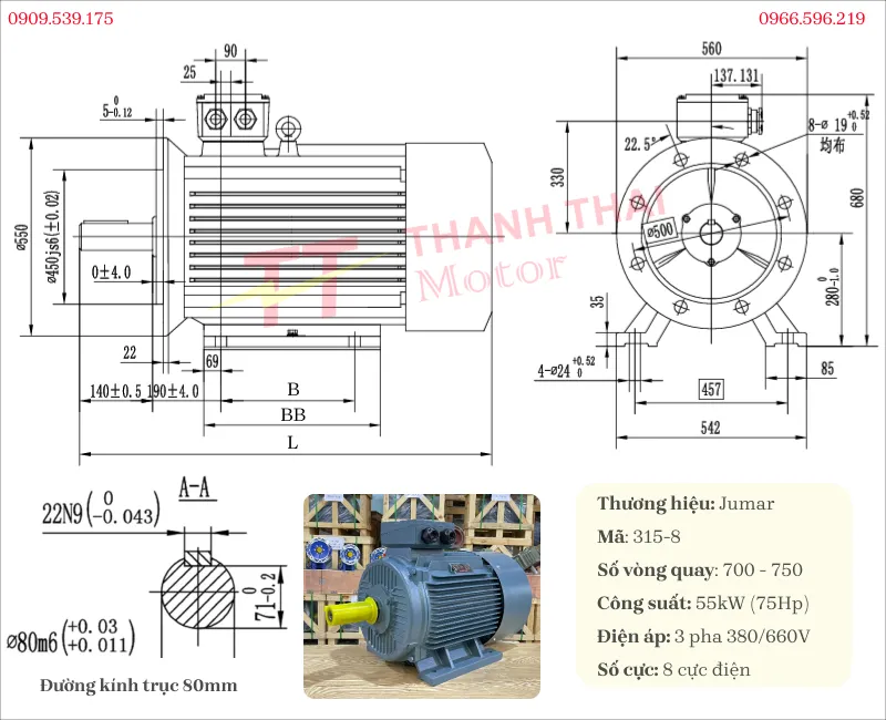 Bản vẽ và thông số kỹ thuật động cơ điện 3 pha 55kW 75Hp 8 cực