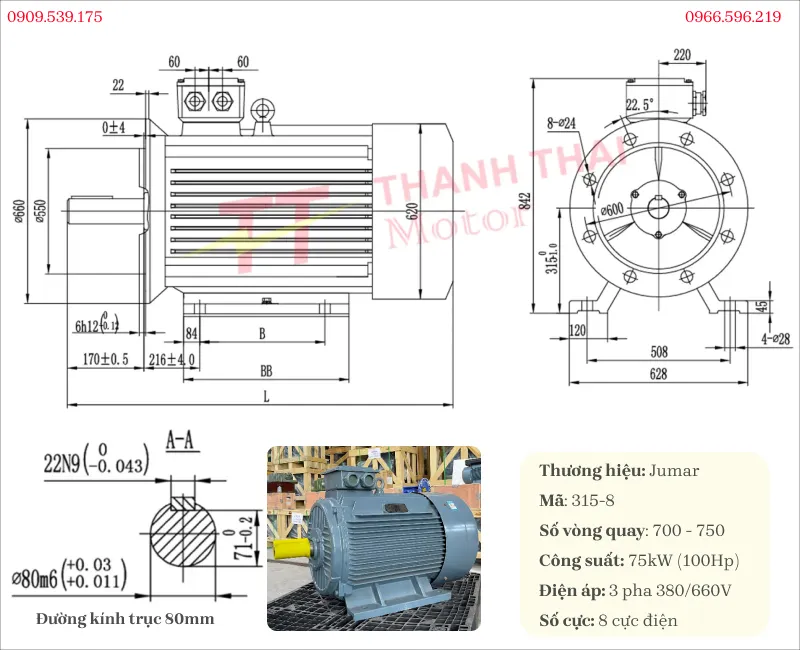 Bản vẽ và thông số kỹ thuật động cơ điện 3 pha 75kW 100Hp 8 cực