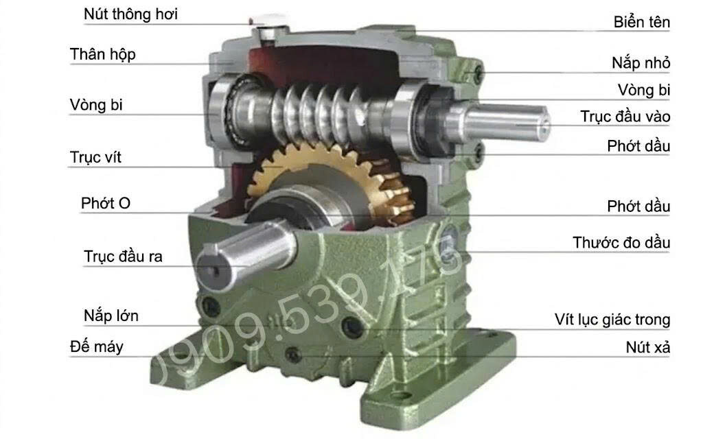 Internal structure of the WPS worm gearbox
