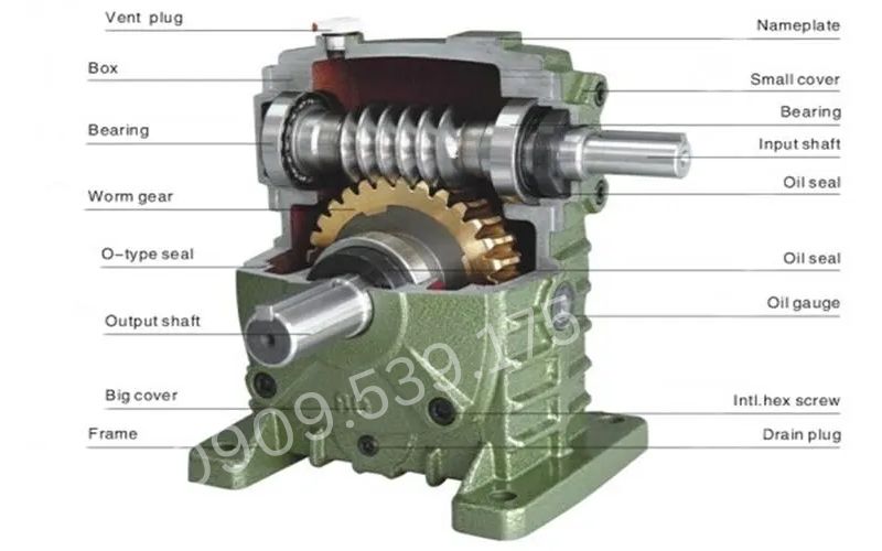 Cấu tạo bên trong hộp giảm tốc trục vít wp 120