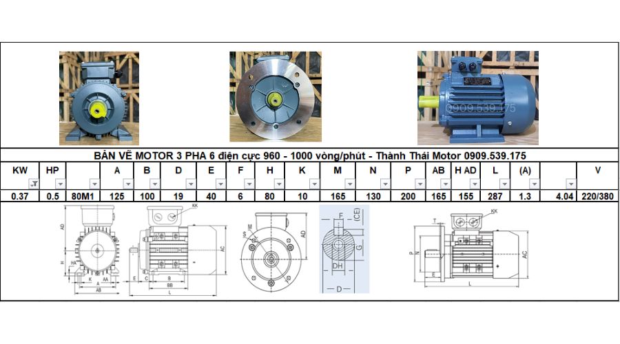 Động cơ điện 3 pha 30kW 40Hp 6 cực điện