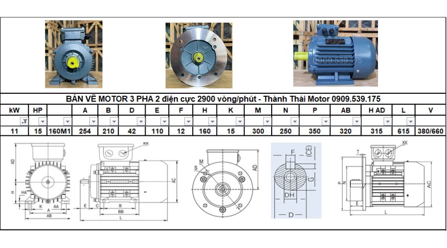 Động cơ điện 3 pha 11kW 15Hp 2 cực điện