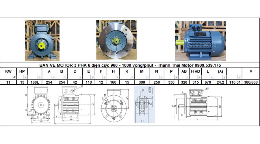 Động cơ điện 3 pha 11kW 15Hp 6 cực điện