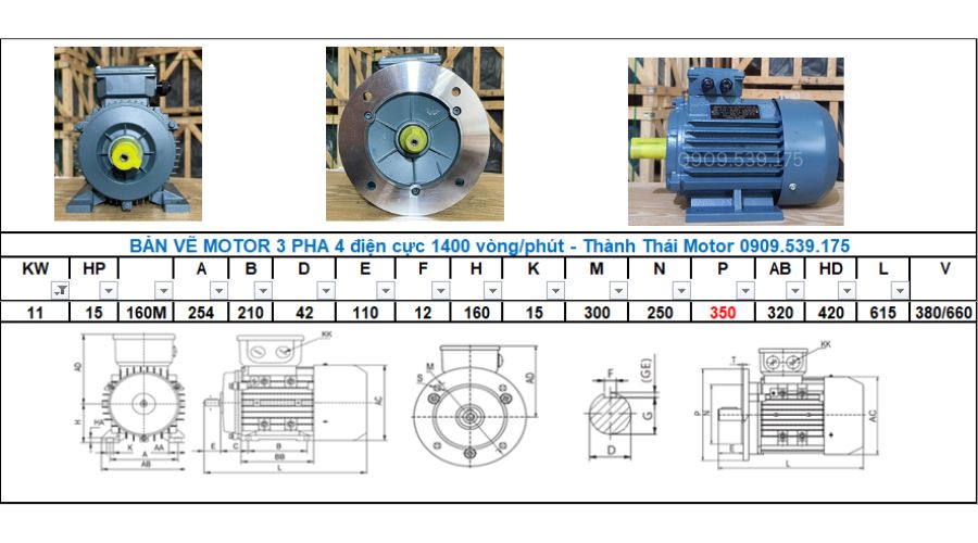 Động cơ điện 3 Pha 11kW 15Hp 4 cực điện