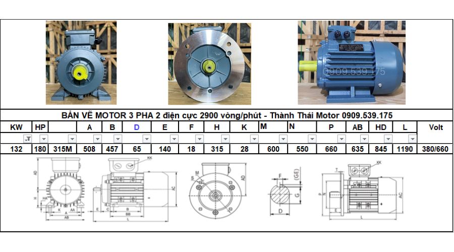 Động cơ điện 3 pha 132kw 180hp 2 cực điện