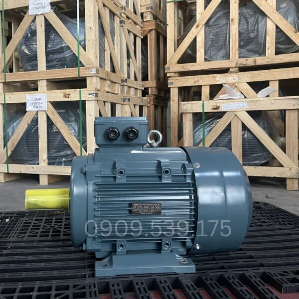 Động cơ điện 3 pha 15kW 20Hp