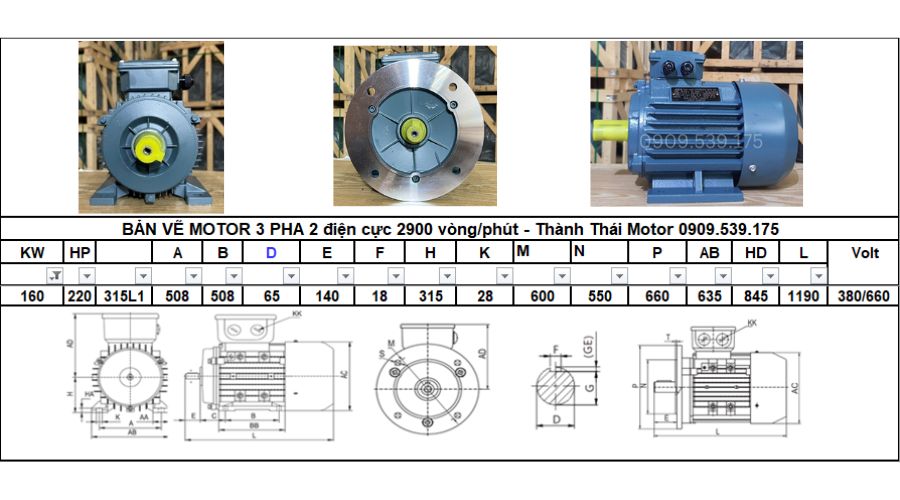 Động cơ điện 3 pha 160kw 220hp 2 cực điện