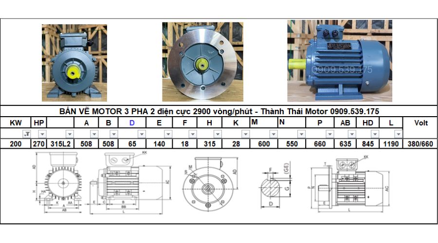 Động cơ điện 3 pha 200kw 270hp 2 cực điện