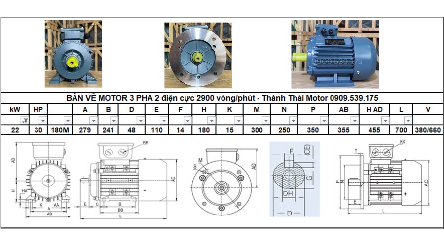 Động cơ điện 3 pha 22kW 30Hp 2 cực điện