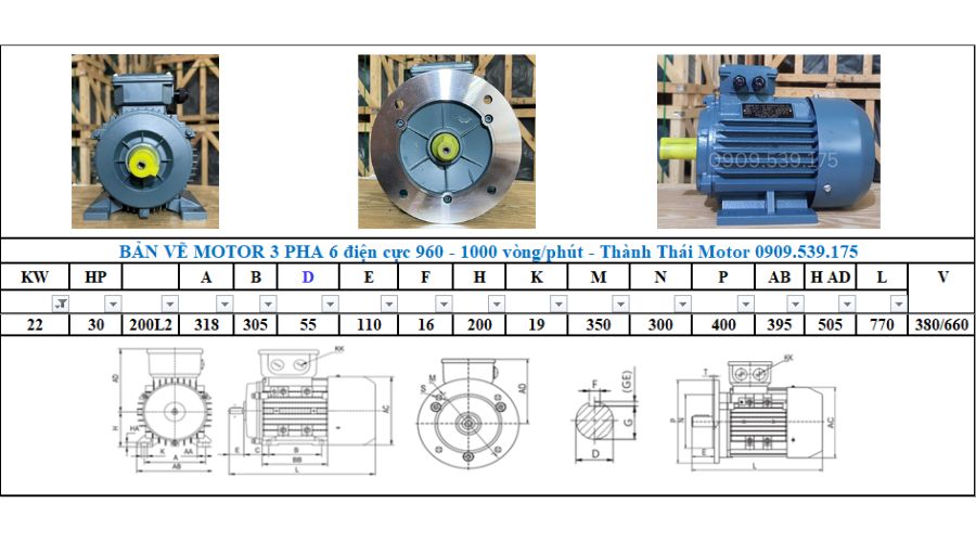 Động cơ điện 3 pha 22kW 30Hp 6 cực điện