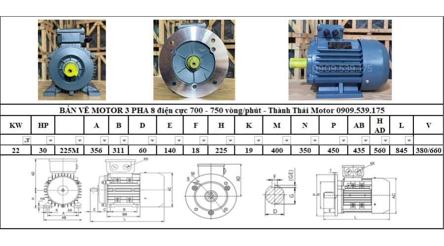 Động cơ điện 3 pha 22kW 30Hp 8 cực điện