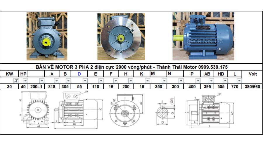 Động cơ điện 3 pha 30kW 40Hp 2 cực điện