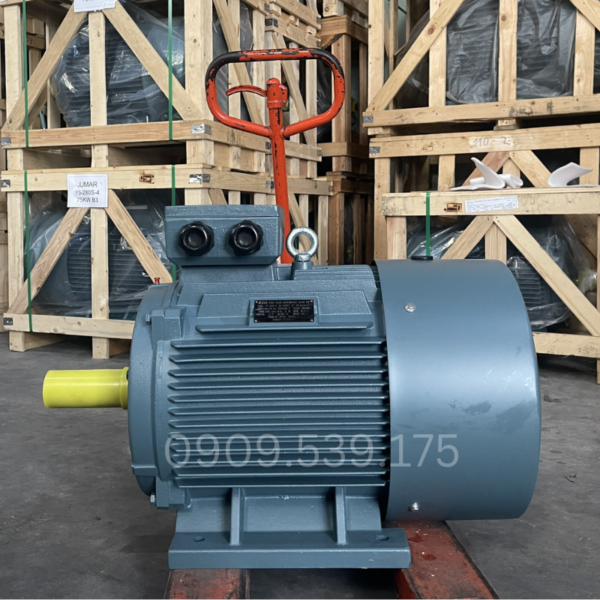 Động cơ điện 3 pha 315kW 420Hp