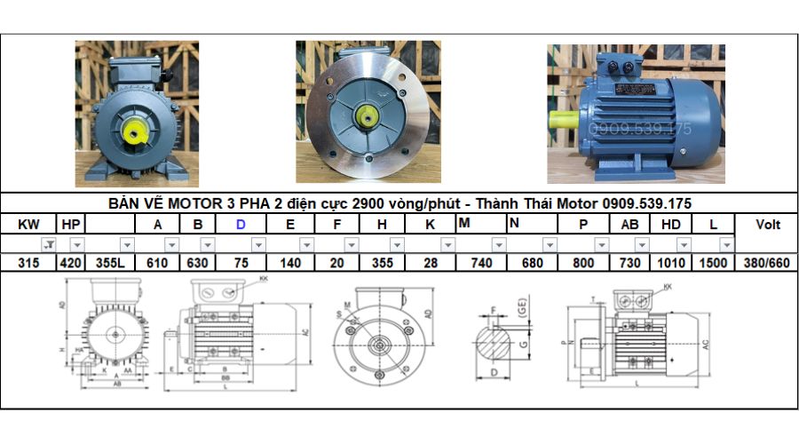 Động cơ điện 3 pha 315kw 420hp 2 cực điện