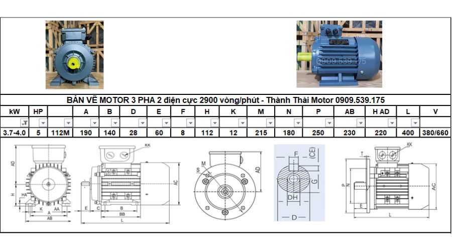 Động cơ điện 3 pha 4.0kW 5.5Hp 2 cực điện