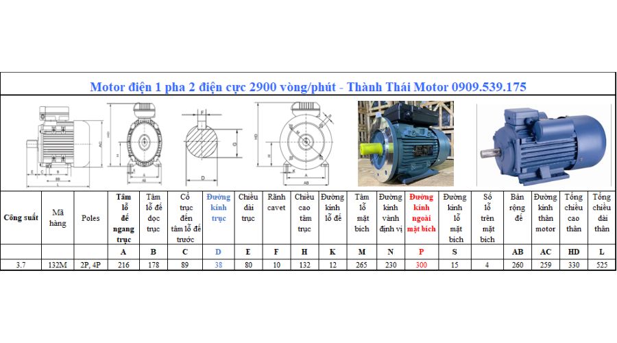 Motor 1 pha 3.7kW 5Hp 2 cực tải nặng