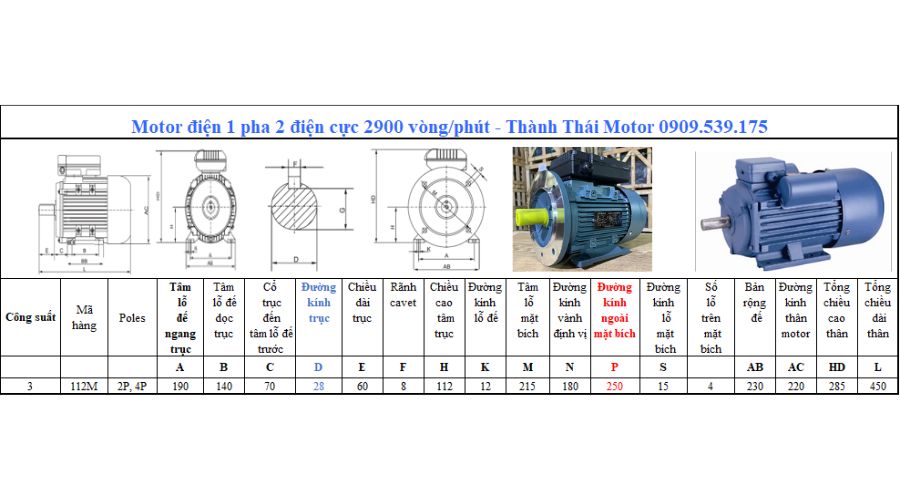 Motor 1 pha 3.0kW 4Hp 2 cực tải nặng