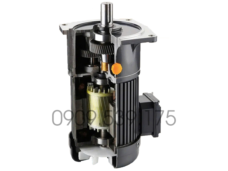 Mặt cắt đứng cấu tạo bên trong Motor giảm tốc 3 pha 1kw 2hp