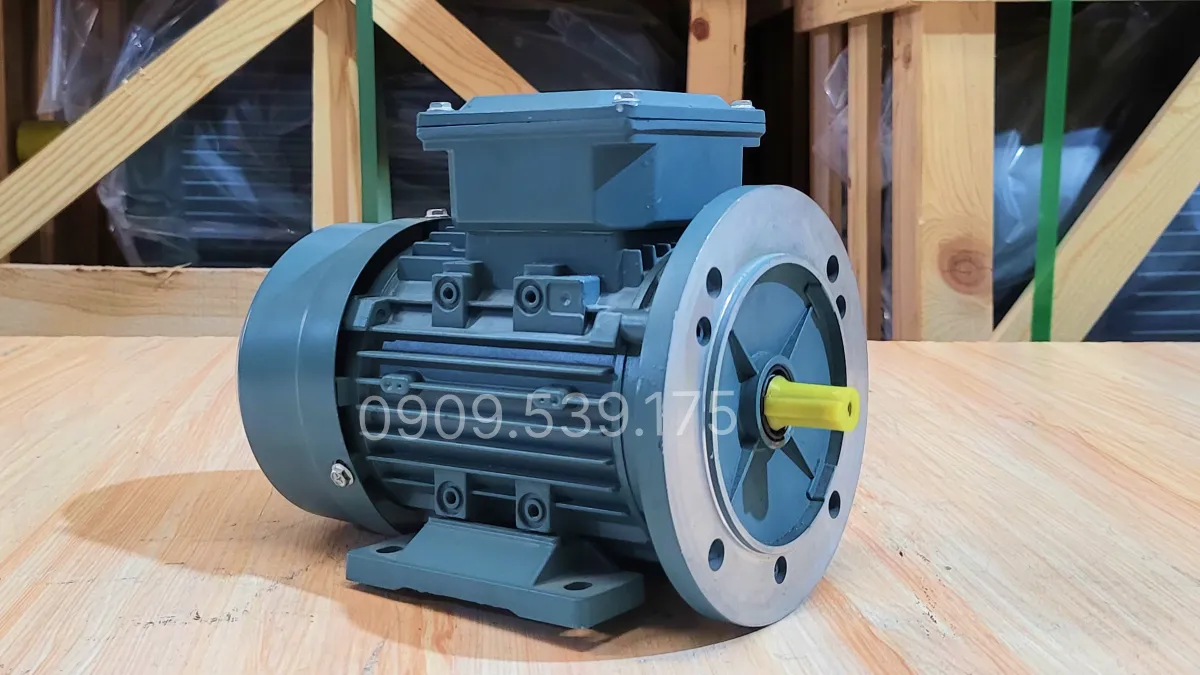 Thiết kế tổng quan về động cơ điện 3 pha 0.8kW 1Hp