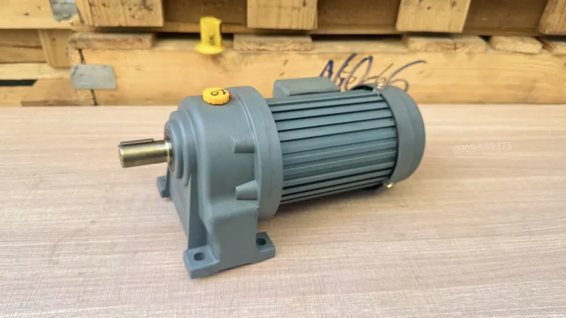 Overview of 3-Phase Gear Motor 0.2kW 0.25Hp