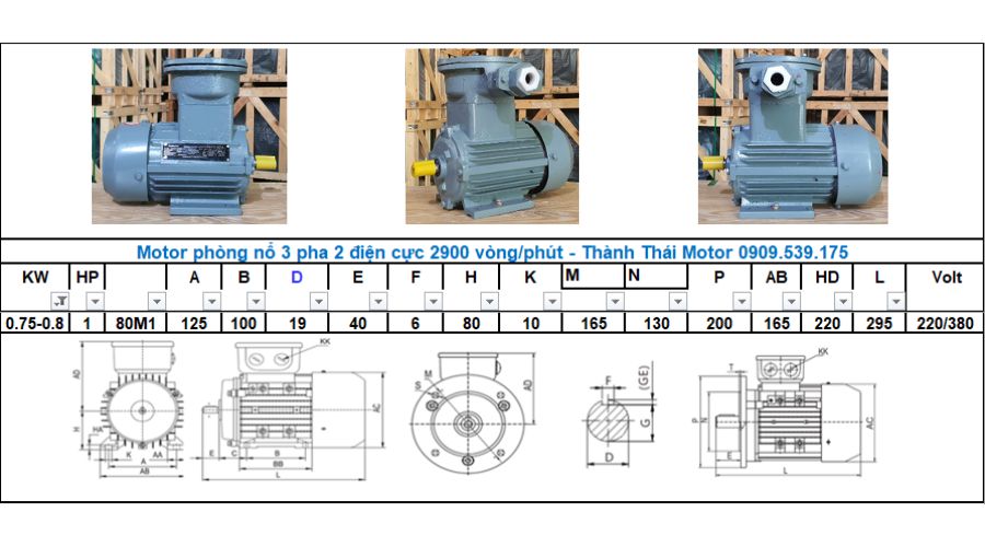 Động cơ phòng nổ 0.8Kw 1HP 2 cực (2poles)