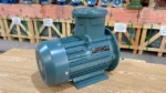 Gốc chéo Động cơ phòng nổ 1.5kW 2Hp
