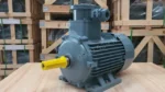 Động cơ phòng nổ 11kW 15Hp chính hãng