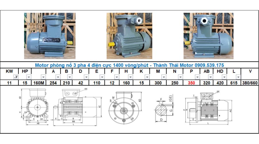 Động cơ phòng nổ 11kW 15Hp 4 cực (4poles)