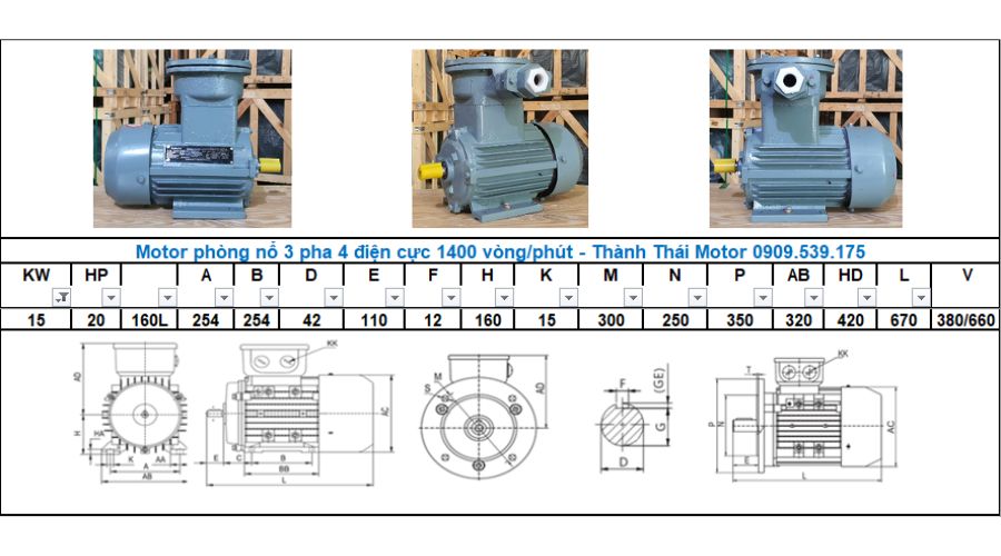 Động cơ phòng nổ 15Kw 20HP  2 cực (4poles)