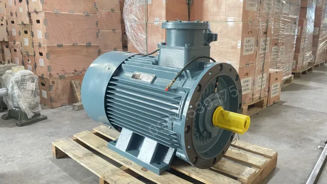Góc chính diện Động cơ phòng nổ 30kW 40Hp