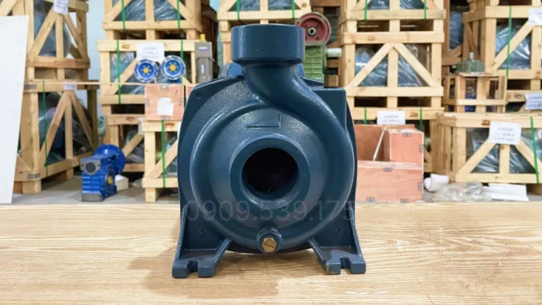 Đầu bơm của Máy bơm nước 1 pha công suất 0.75kW 1Hp