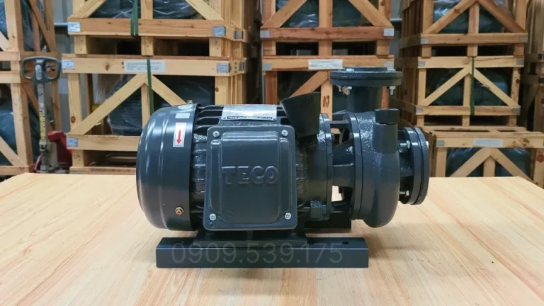 Góc nhìn bên trái của Máy bơm nước Teco 0.75kW 1Hp