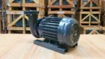Góc bên phải của Máy bơm nước Teco 15kW 20Hp