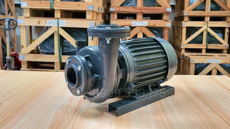 Máy bơm nước Teco 15kW 20Hp chính hãng