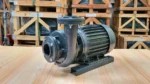 Máy bơm nước Teco 7.5kW 10Hp chính hãng