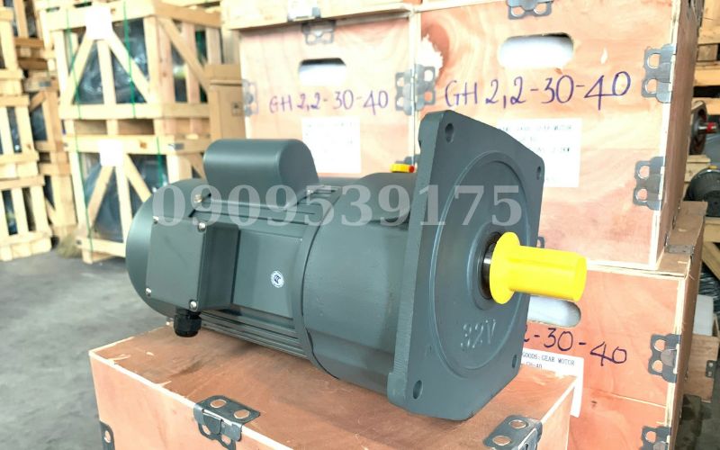 Motor giảm tốc loại mặt bích