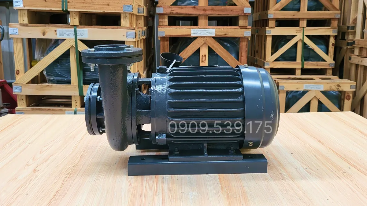 Thiết kế tổng quan máy bơm nước Teco 18.5kW 25Hp