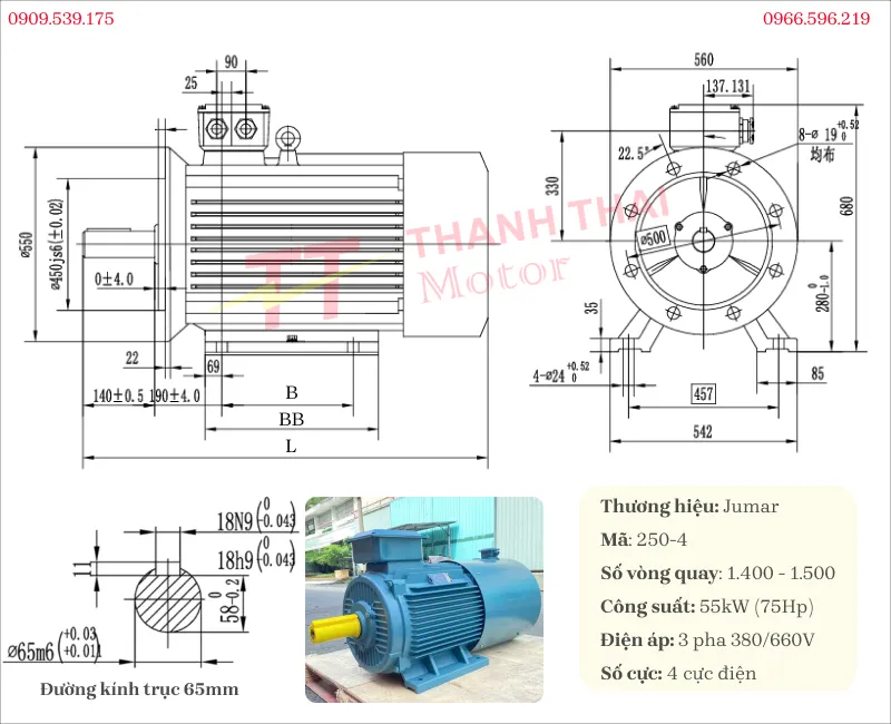 Drawing and technical specifications of the 3-phase 55kW 75Hp 4-pole inverter duty motor