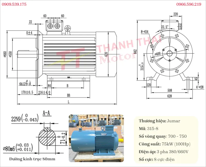 Bản vẽ và thông số kỹ thuật motor biến tần 3 pha 75kW 100Hp 8 cực