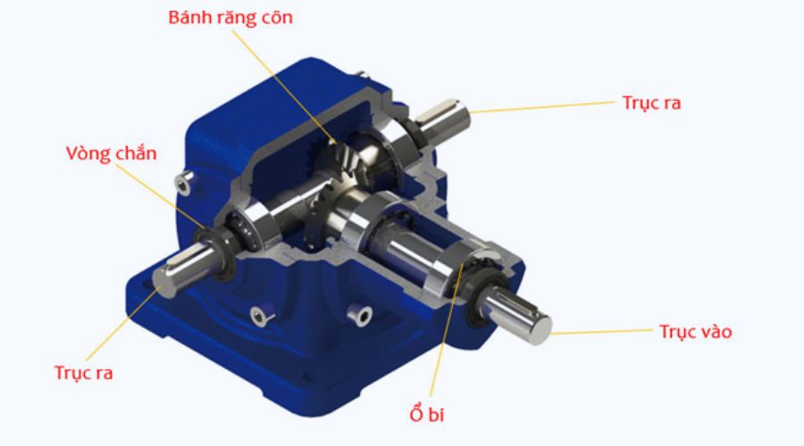 Cấu tạo bên trong hộp giảm tốc chuyển hướng T