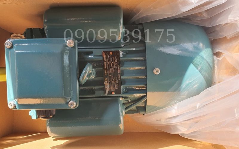 Điện áp motor 1 pha