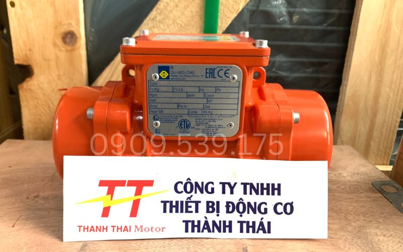 So sánh motor rung 6 cực và 4 cực