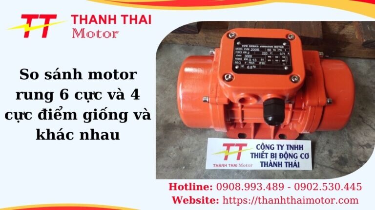 So sánh motor rung 6 cực và 4 cực