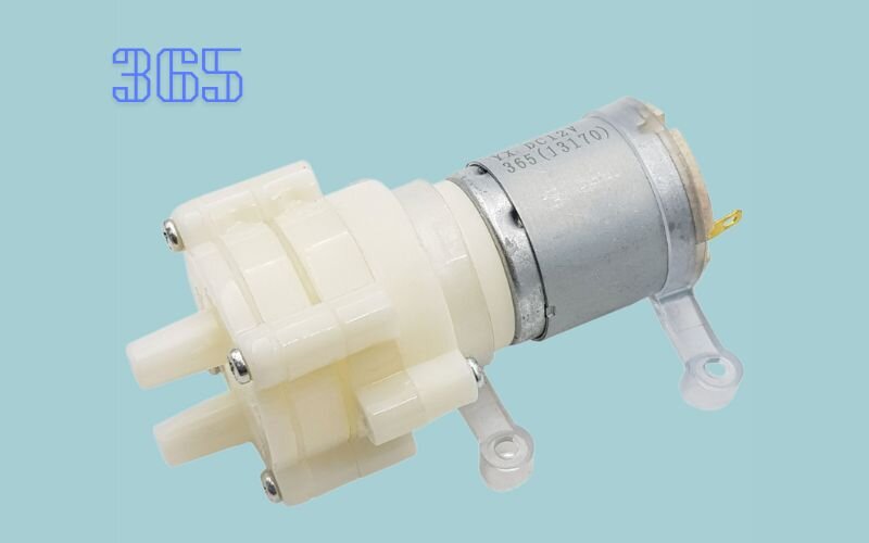 Motor 365 12V