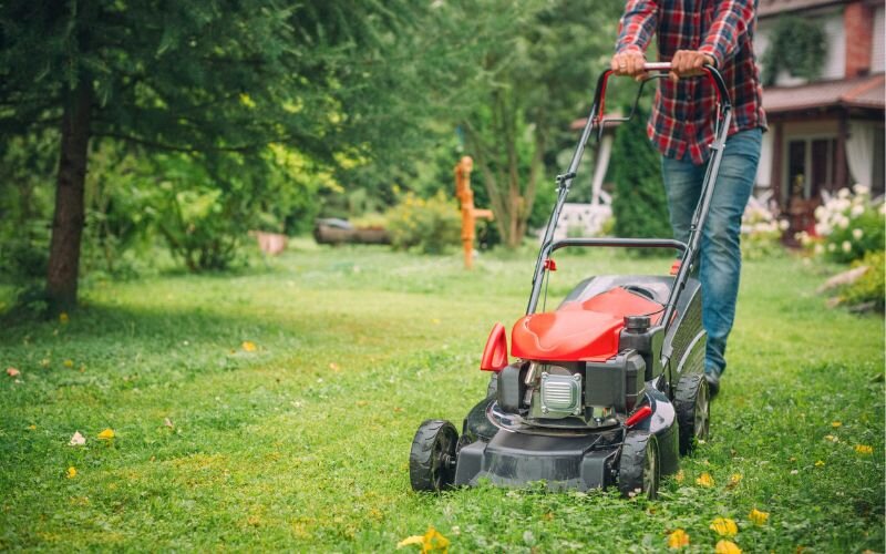 Những lưu ý khi sử dụng máy cắt cỏ